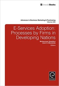 E-Services Adoption: Processes by Firms in Developing Nations: 23 (Advances in Business Marketing and Purchasing)